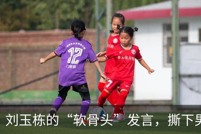 刘玉栋的“软骨头”发言，撕下男篮的面具
